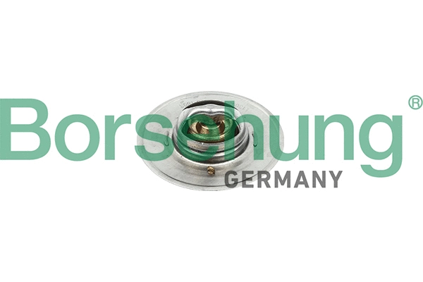 Thermostat, coolant (B18247)