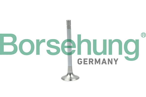 Exhaust Valve (B19004)