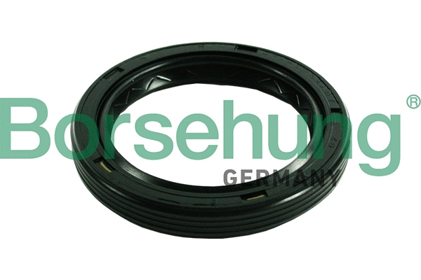 Shaft Seal, manual transmission flange (B17839)