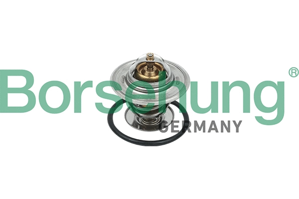 Thermostat, coolant (B18244)