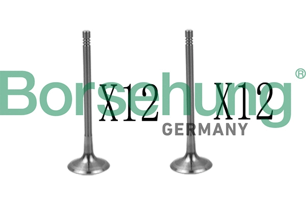 Valve Kit, intake/exhaust valve (B18639)