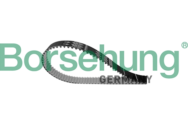 Timing Belt (B10229)