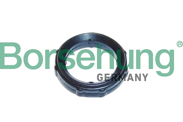 Gasket, timing case cover (B10651)