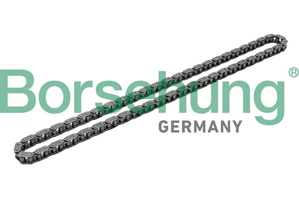 Timing Chain (B1C017)