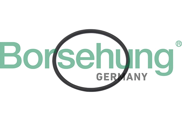 Seal, camshaft sealing cover (B10637)