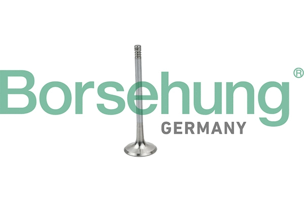 Intake Valve (B19025)