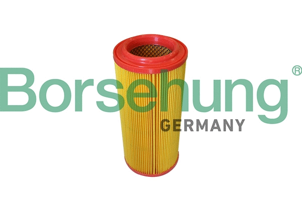 Air Filter (B10546)