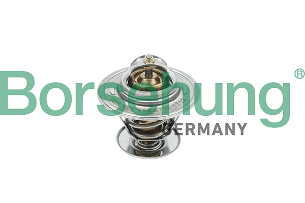 Thermostat, coolant (B18245)