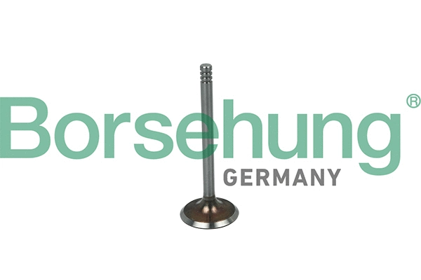 Intake Valve (B19016)