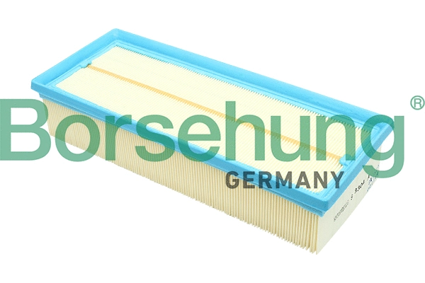 Air Filter (B12811)