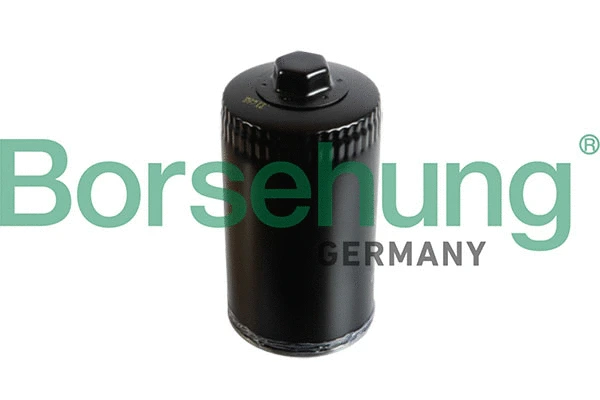 Oil Filter (B10434)