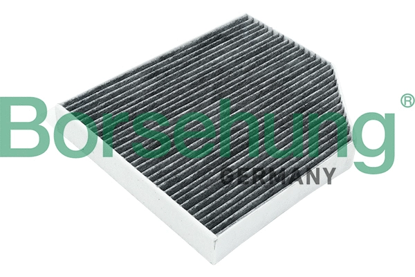 Filter, cabin air (B12801)