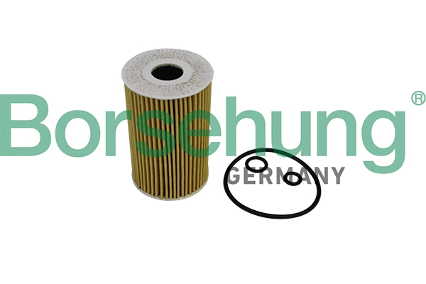 Oil Filter (B10535)