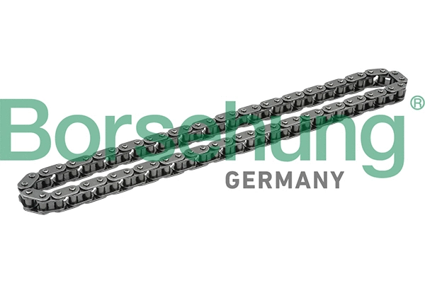 Timing Chain (B1C016)