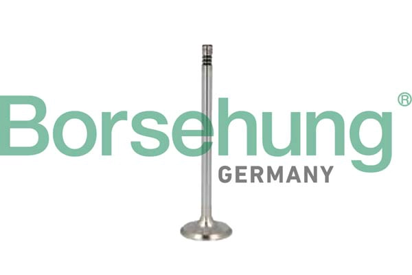 Intake Valve (B10349)