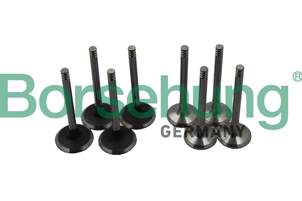 Valve Kit, intake/exhaust valve (B18640)