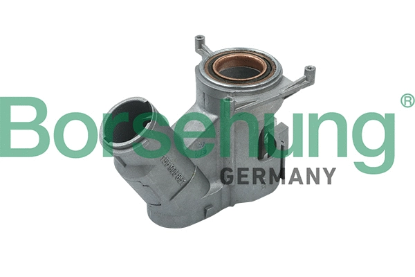 Steering Lock (B17982)