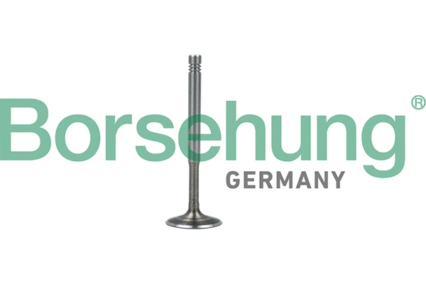 Exhaust Valve (B19010)