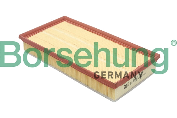 Air Filter (B12806)
