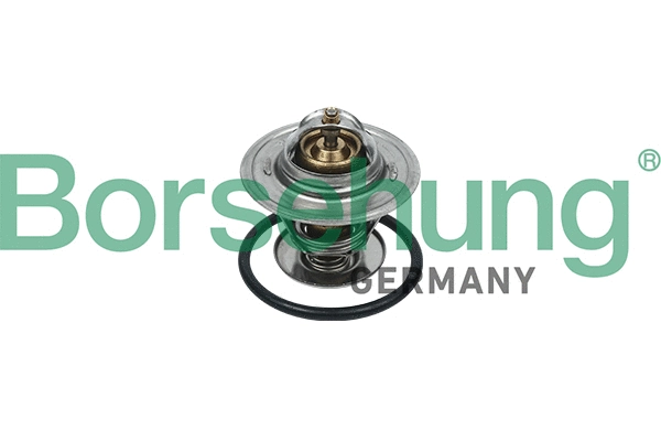 Thermostat, coolant (B18246)