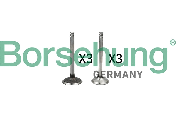 Valve Kit, intake/exhaust valve (B18765)