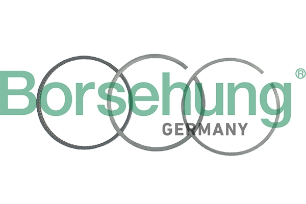 Piston Ring Kit (B19040)