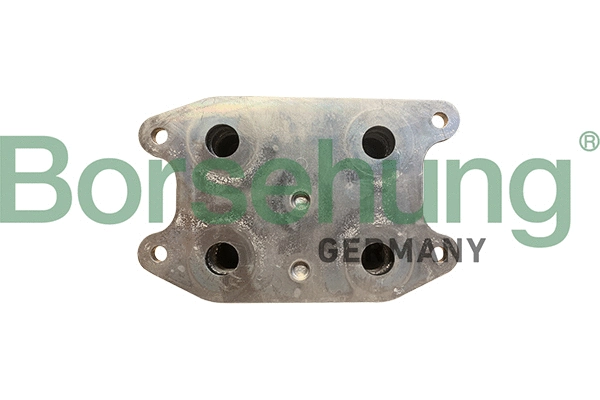 Oil Cooler, engine oil (B10878)