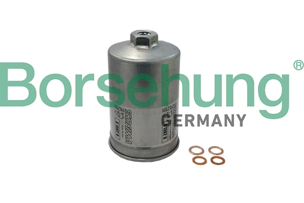 Fuel Filter (B19091)