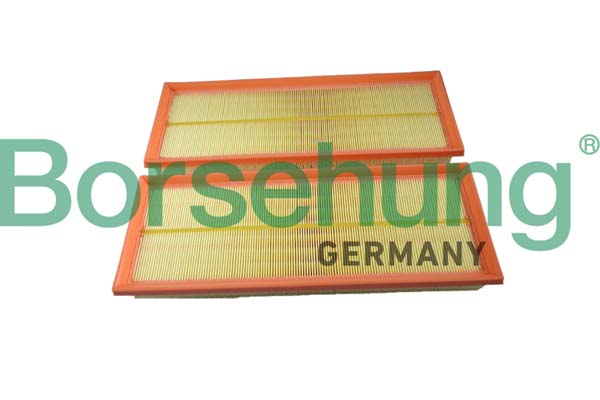 Air Filter (B12398)