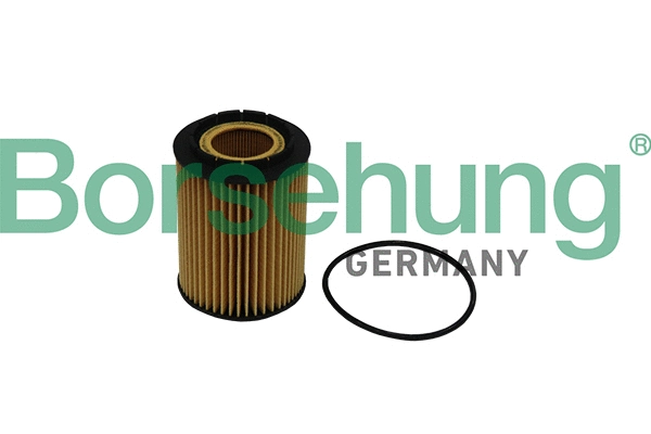 Oil Filter (B10516)