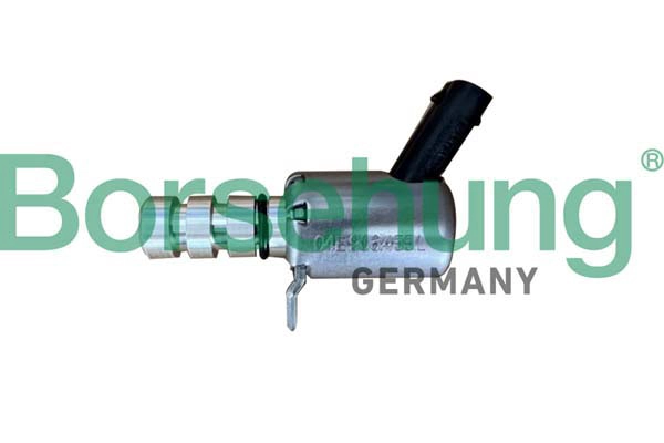 Oil Pressure Valve (B12313)