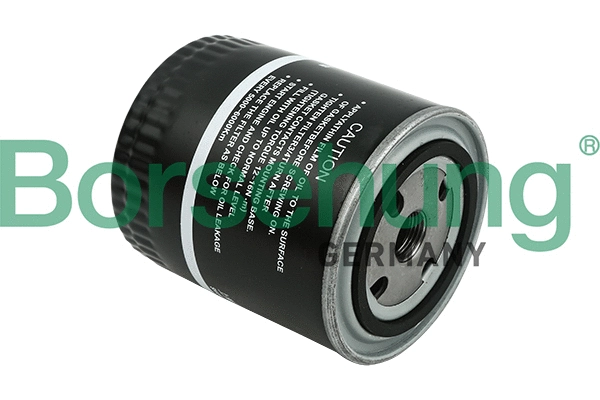 Oil Filter (B12818)