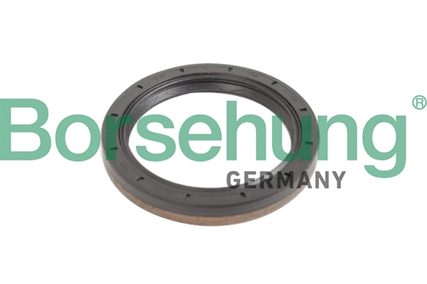Shaft Seal, manual transmission flange (B12193)