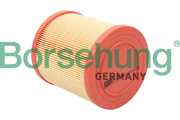 Air Filter (B12813)