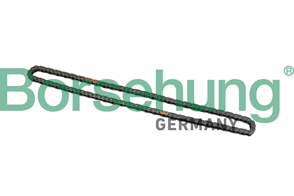 Timing Chain (B1C025)