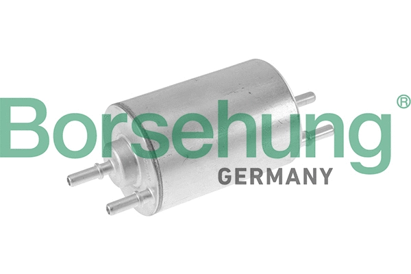 Fuel Filter (B10479)