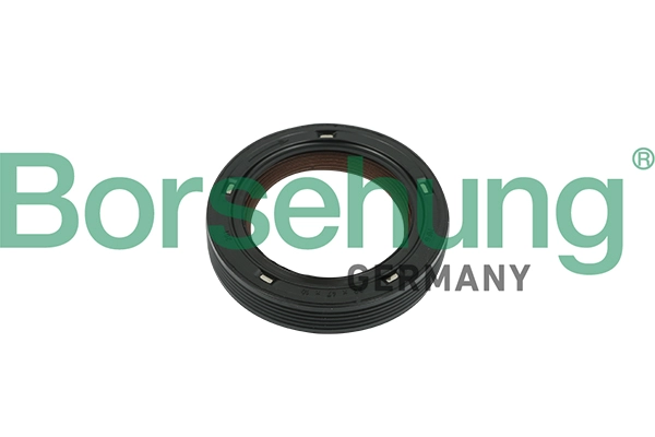 Shaft Seal, camshaft (B18729)