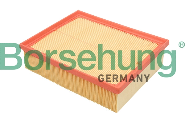 Air Filter (B12805)