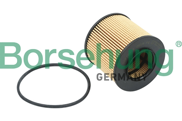 Oil Filter (B12821)