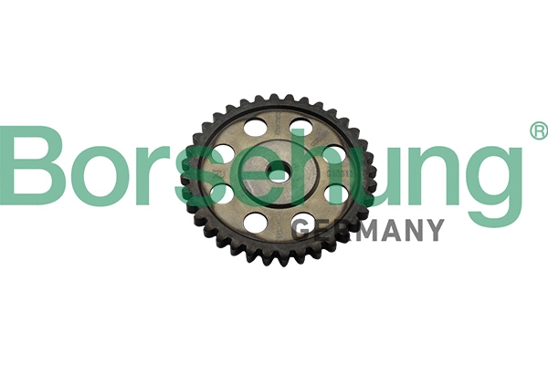 Timing Chain Kit (B1S013)