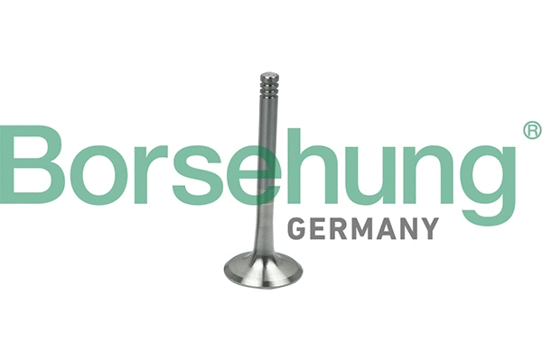 Exhaust Valve (B19014)