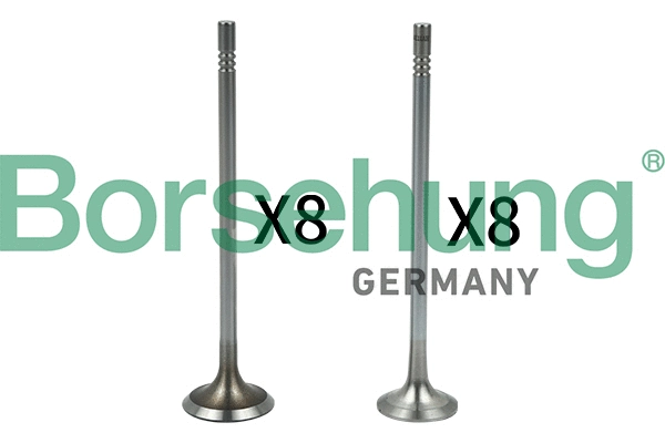 Valve Kit, intake/exhaust valve (B18632)