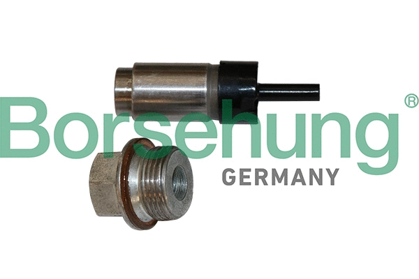 Tensioner, timing chain (B1T023)