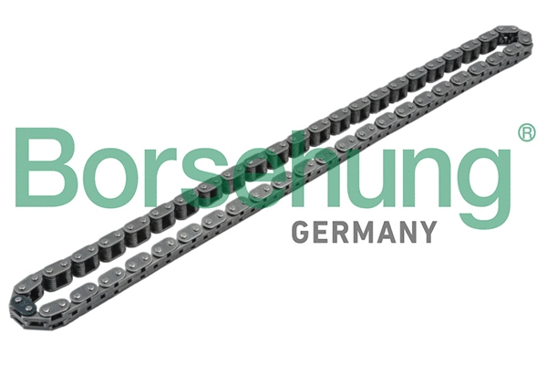 Timing Chain (B1C002)