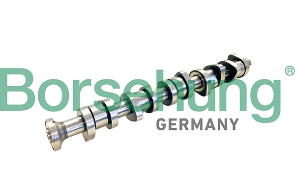Camshaft (B11309)