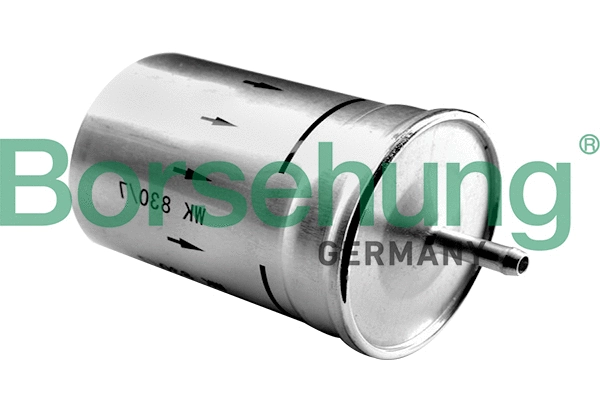 Fuel Filter (B12794)