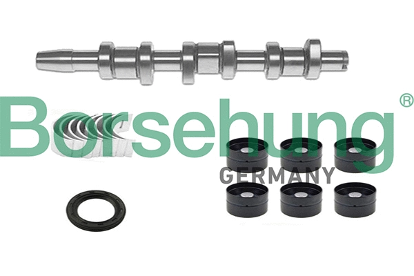 Camshaft Kit (B18665)
