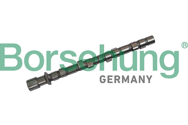 Camshaft (B11318)