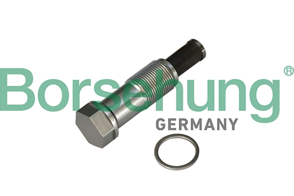 Tensioner, timing chain (B1T020)