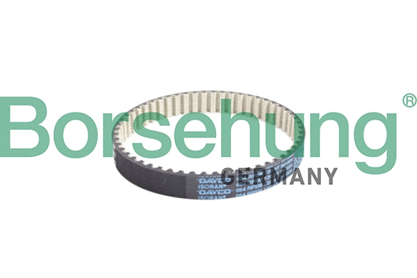 V-Belt (B10231)